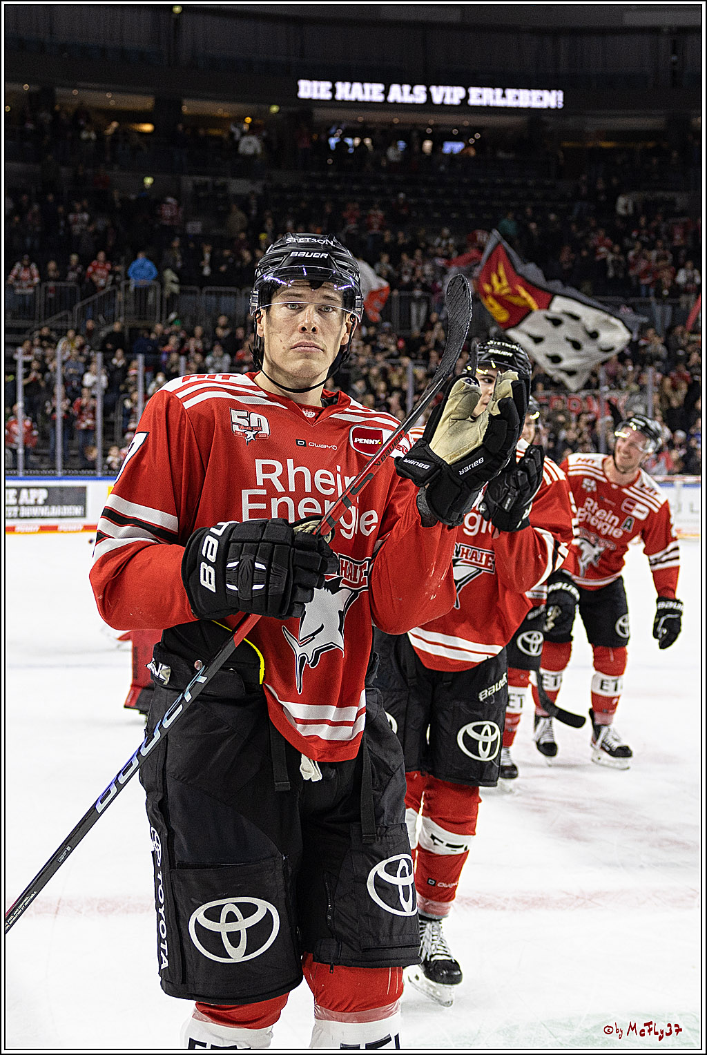 PENNY DEL;  Kölner Haie - Augsburger Panther; Köln, 20.12.2022